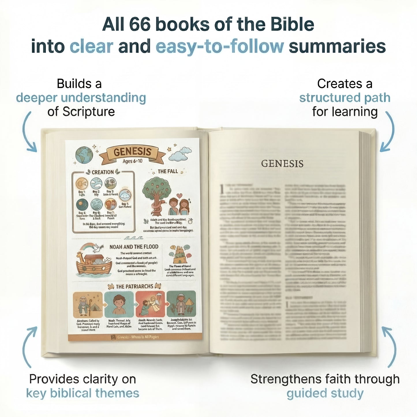 FaithSteps: 66 Bible Quest Cards